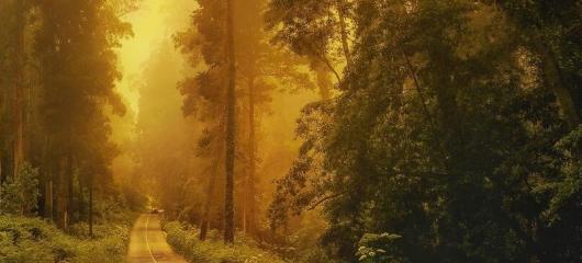 爷爷给我借阴寿